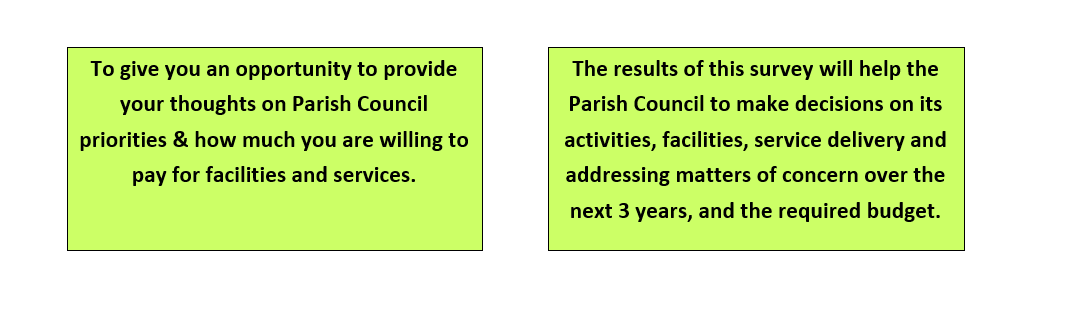 Written explanation for survey requirement in two text boxes